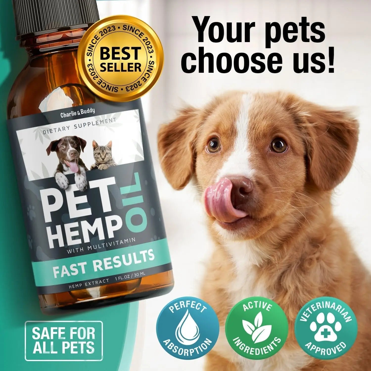 Charlie & Buddy Hemp Oil for Dogs & Cats, Calming & Joint Support