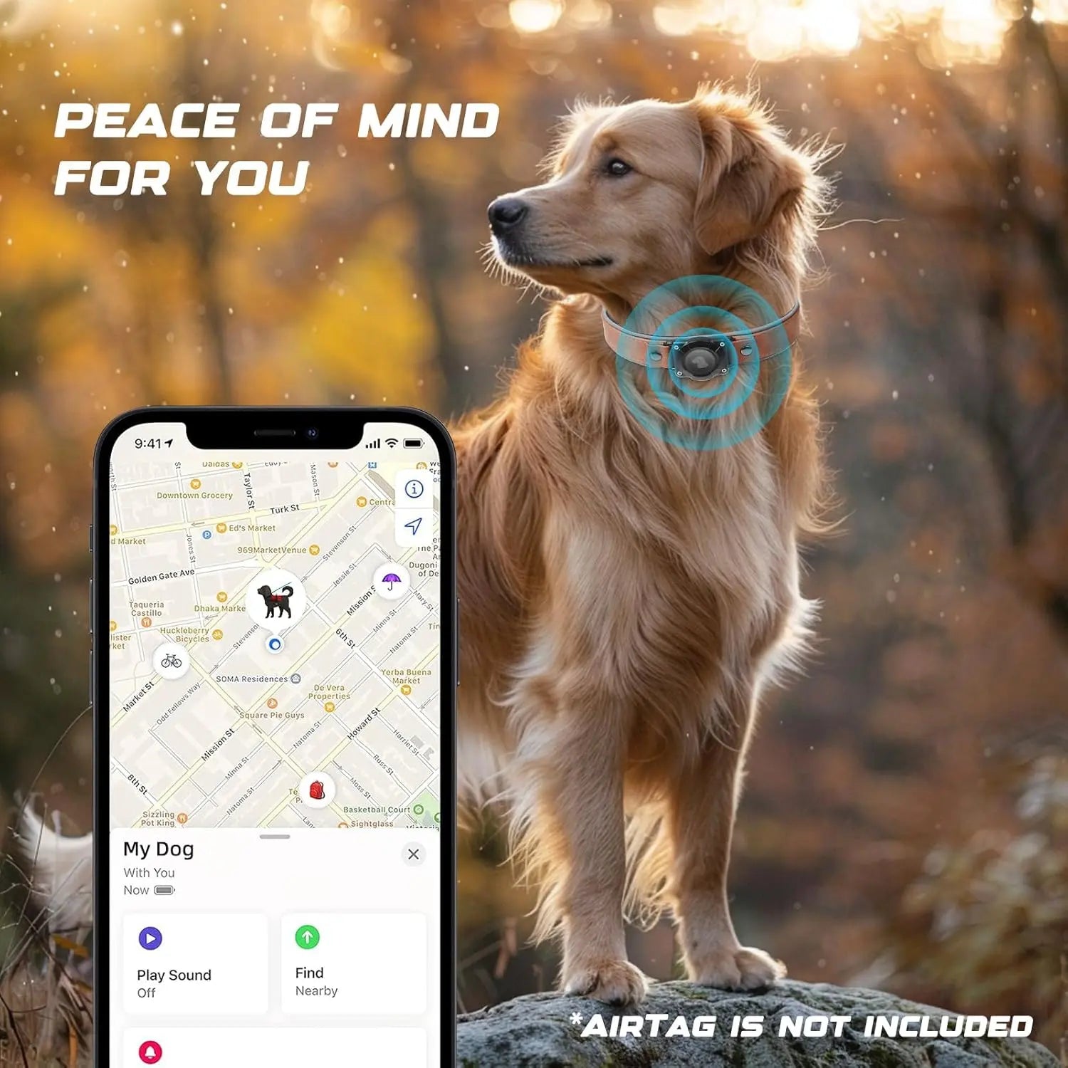 Leather AirTag Dog Collar with Built-In Holder, Reflective Adjustable Design